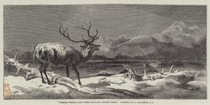 Coming Events Cast Their Shadows Before Them by Edwin Landseer